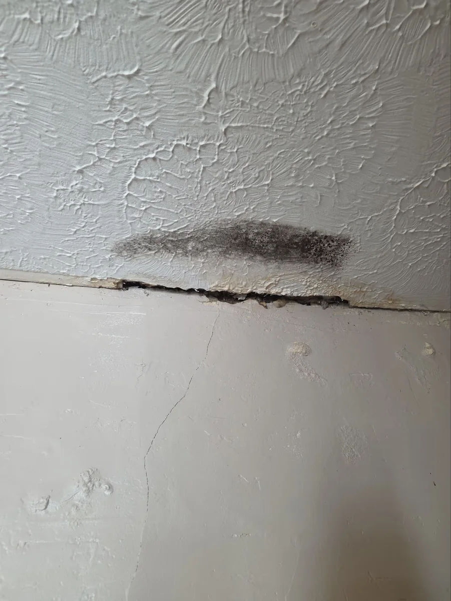 Mold growth tracking along a ceiling crack